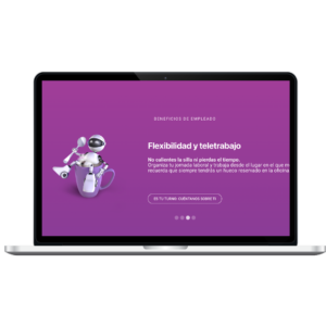 diseño web Pymes EMA